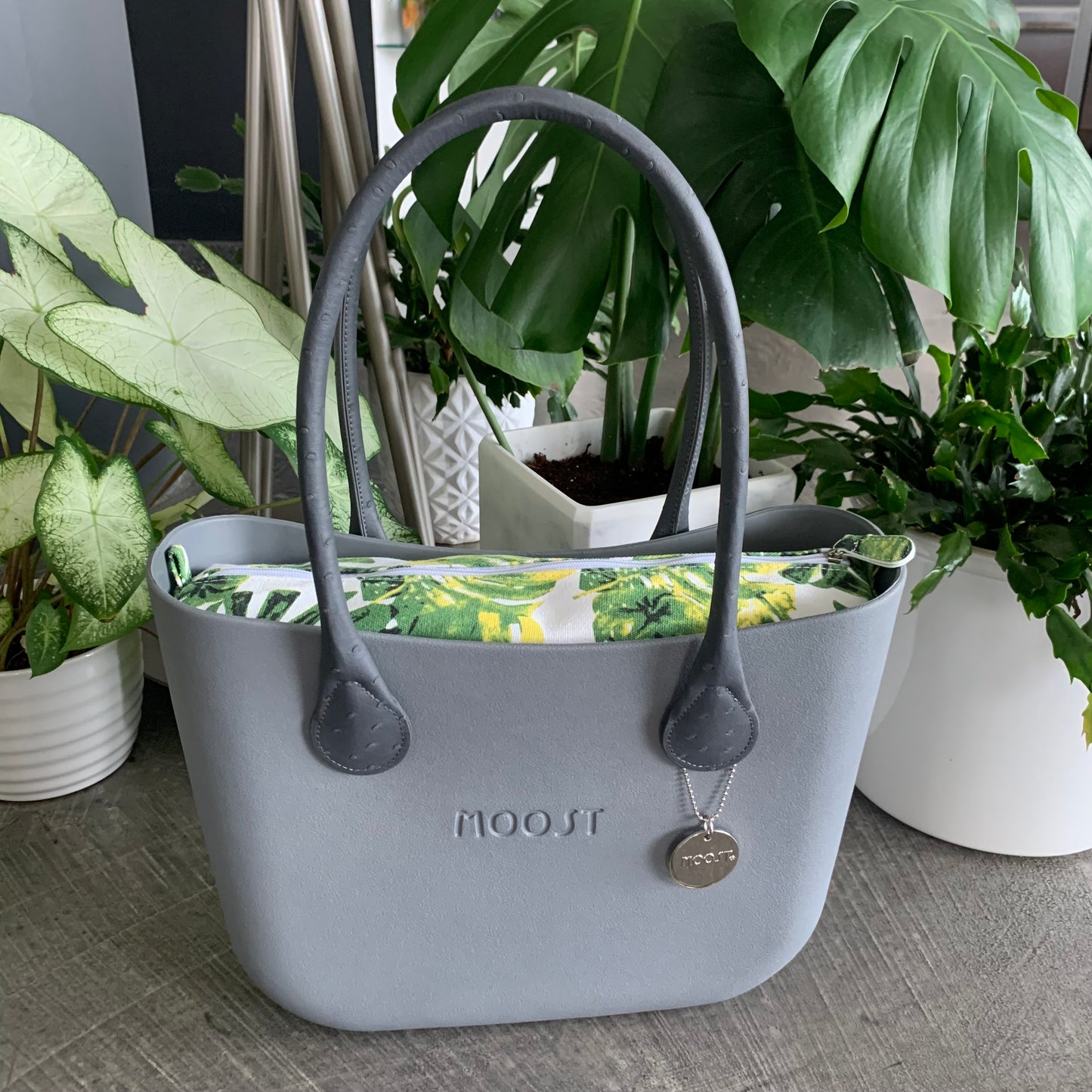Pop of Plant
