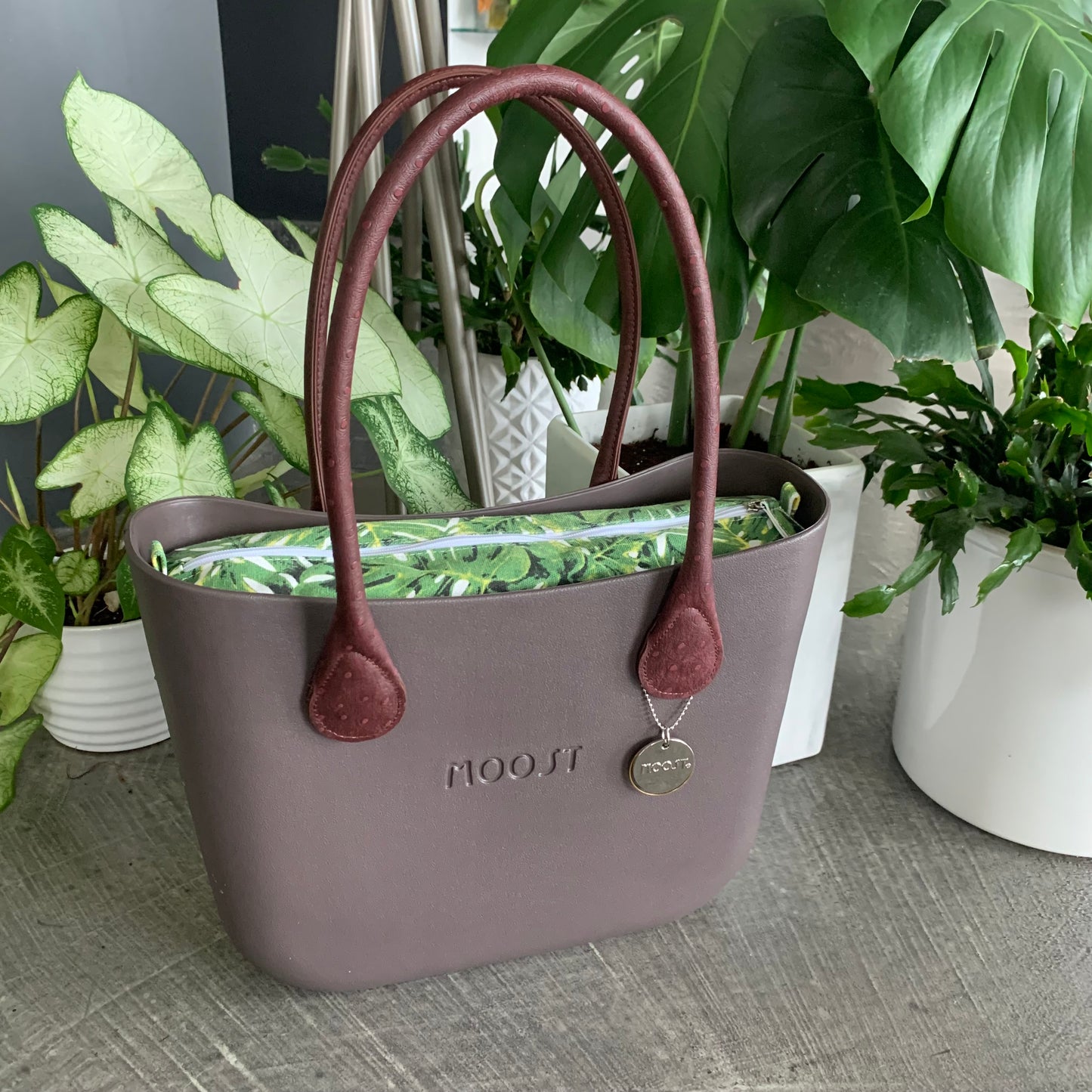 Coco for Monstera