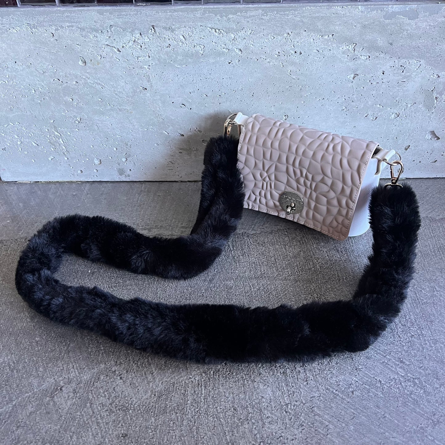 Latte on White with Black Fur