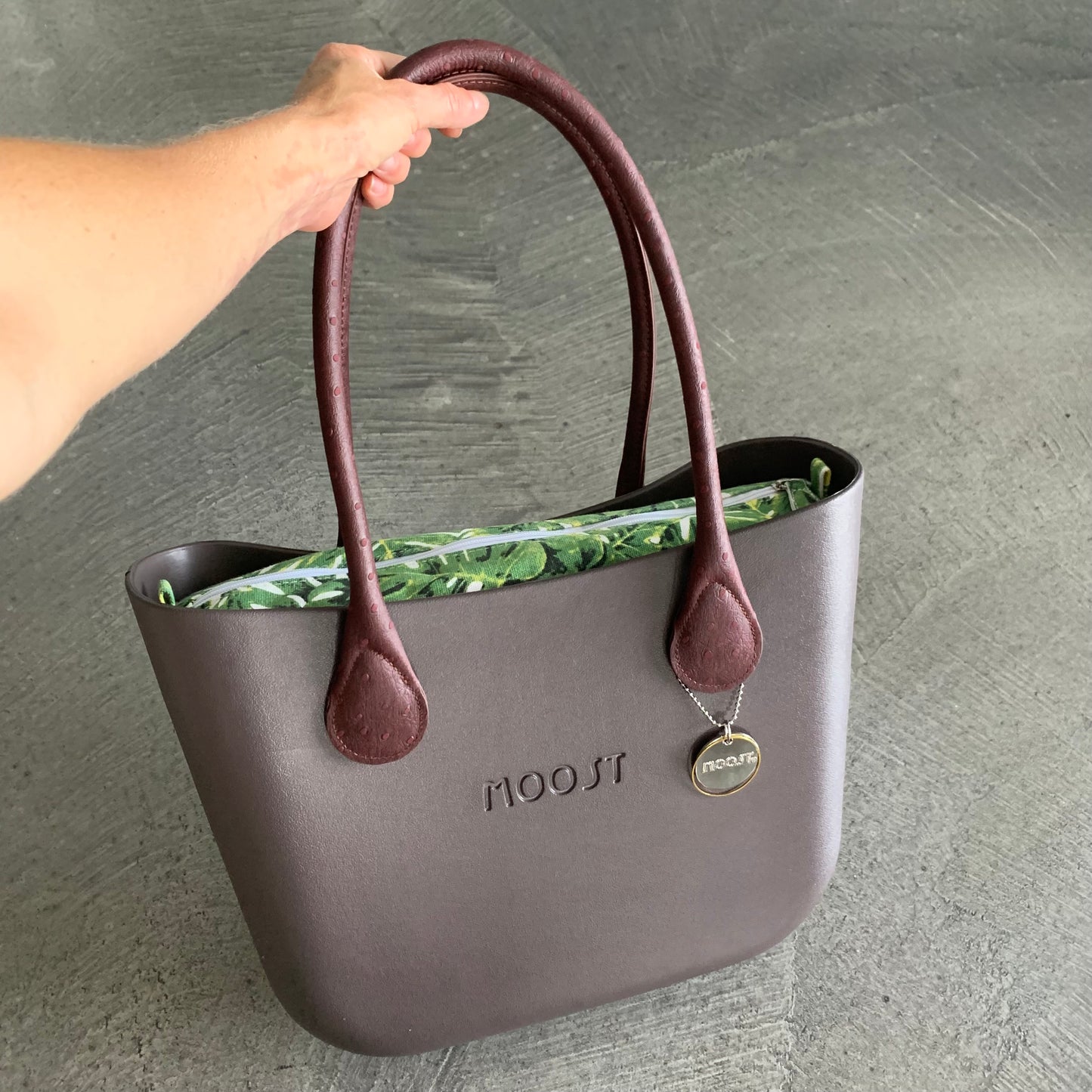 Coco for Monstera
